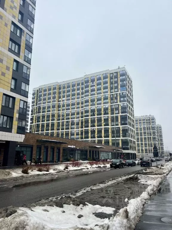 Студия Санкт-Петербург ул. Ультрамариновая, 4 (25.1 м) - Фото 2