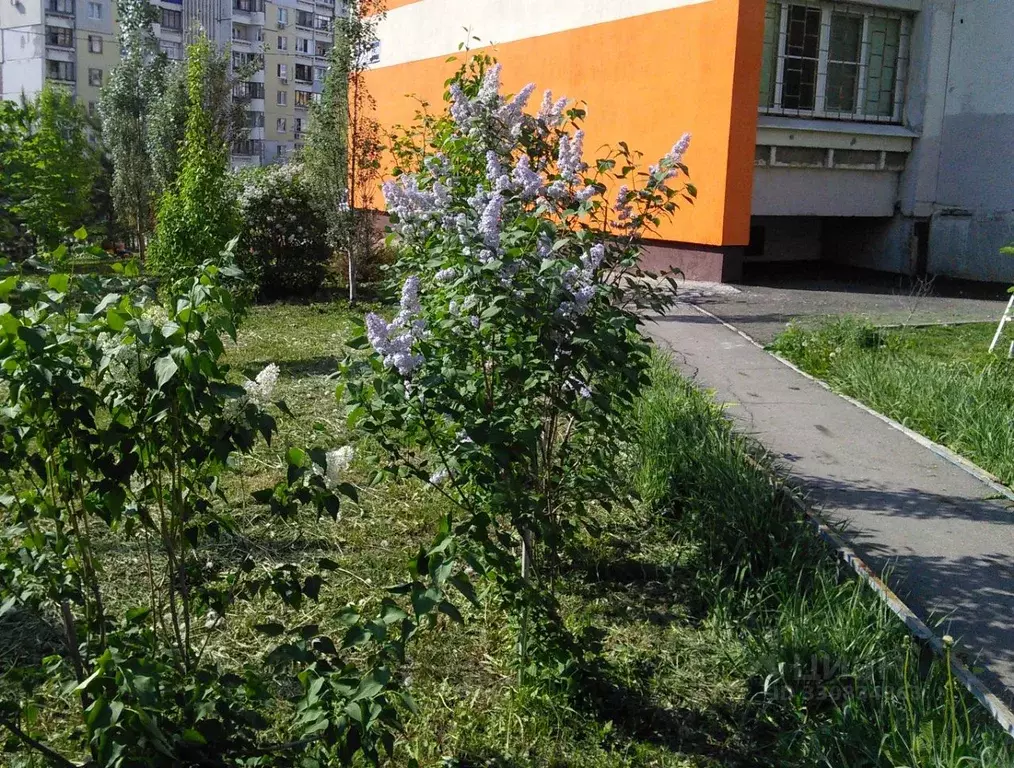 3-к кв. Самарская область, Самара Ново-Садовая ул., 228 (77.0 м) - Фото 1