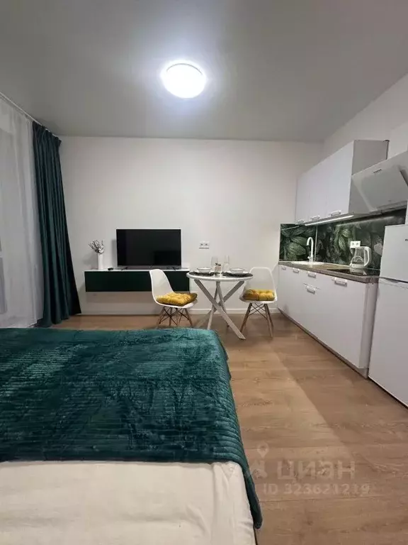 Студия Ленинградская область, Всеволожский район, Заневское городское ... - Фото 2