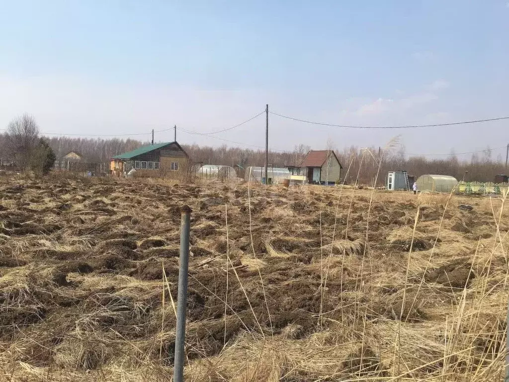 Участок в Еврейская автономная область, Смидовичский район, Минерал ... - Фото 0