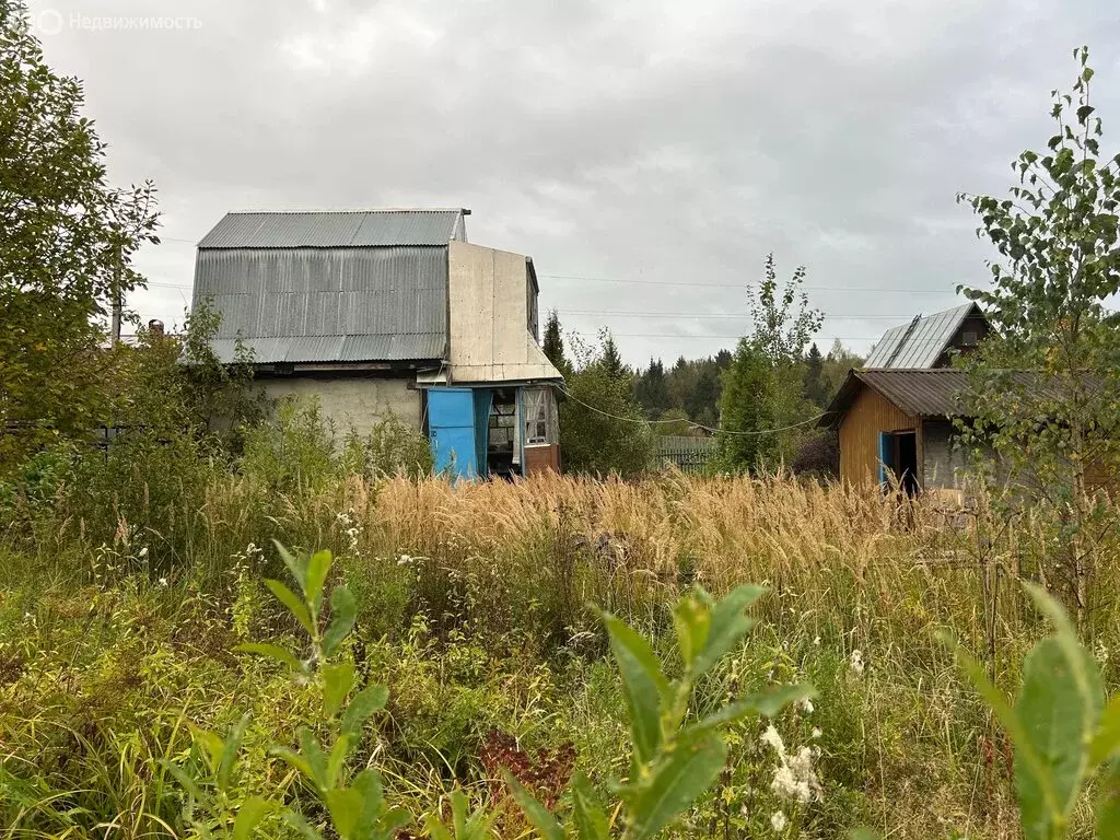 Дом в Владимирская область, Александровский муниципальный округ, ... - Фото 1