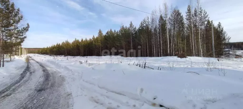 Участок в Свердловская область, Талица Южный-3 мкр,  (15.0 сот.) - Фото 1