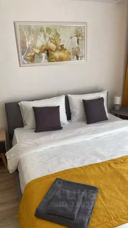 Студия Краснодарский край, Сочи ул. Искры, 66/9к3 (26.0 м) - Фото 0