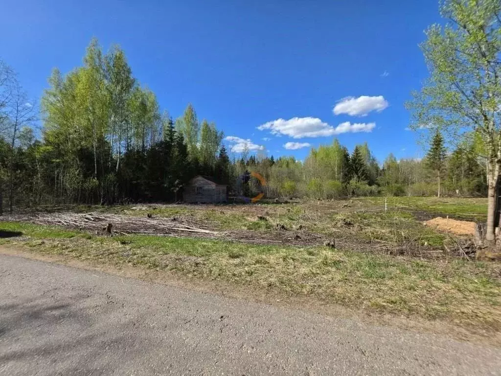 Участок в Новгородская область, Окуловский муниципальный район, ... - Фото 1