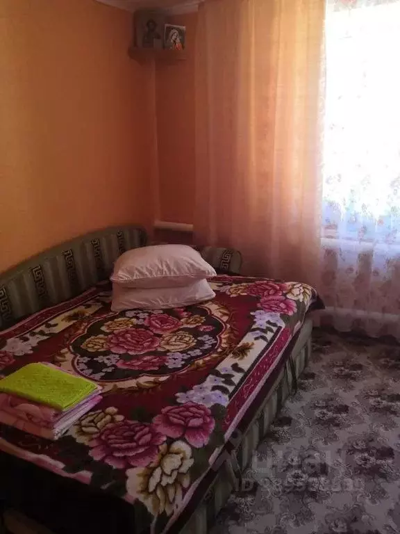 Дом в Нижегородская область, с. Дивеево ул. Восточная, 25 (100 м) - Фото 1