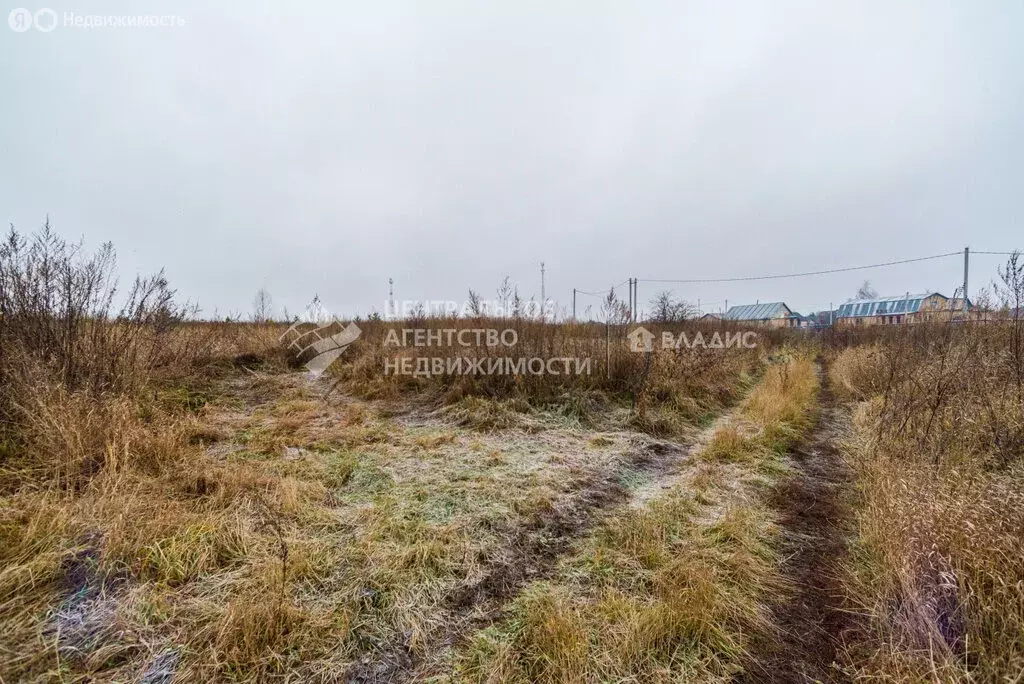 Участок в Рязанский район, Вышгородское сельское поселение, село ... - Фото 1