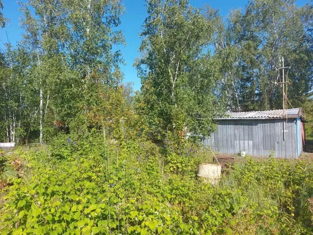 Участок в Саха (Якутия), Якутск городской округ, с. Маган  (11.0 сот.) - Фото 2