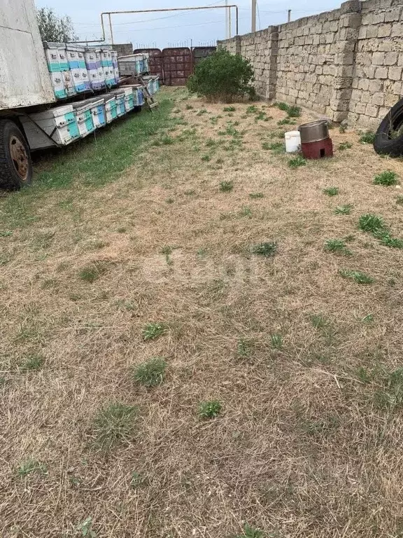 Участок в Крым, Черноморский район, с. Новосельское, Мечта-1 СНТ 69 ... - Фото 1