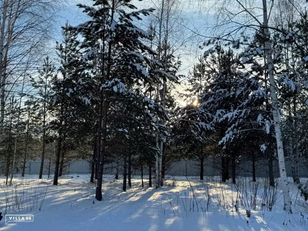 Участок в Свердловская область, Сысертский городской округ, пос. ... - Фото 0