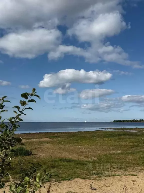 Дом в Ярославская область, Рыбинский муниципальный округ, д. Большой ... - Фото 0