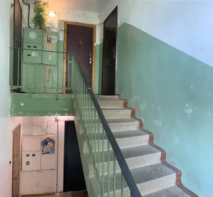 1-к кв. Ленинградская область, Бокситогорский район, д. Бор 24 (40.0 ... - Фото 2