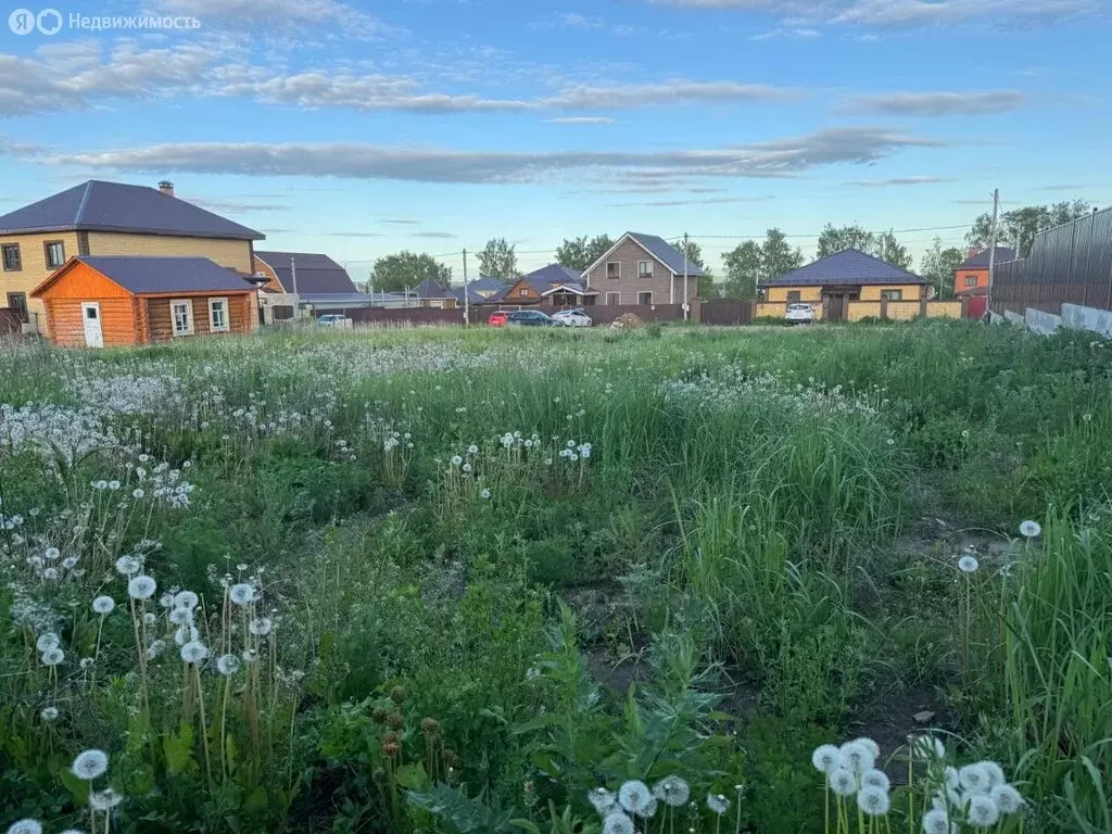 Участок в село Сокуры, улица Кургузкина (16.88 м) - Фото 1