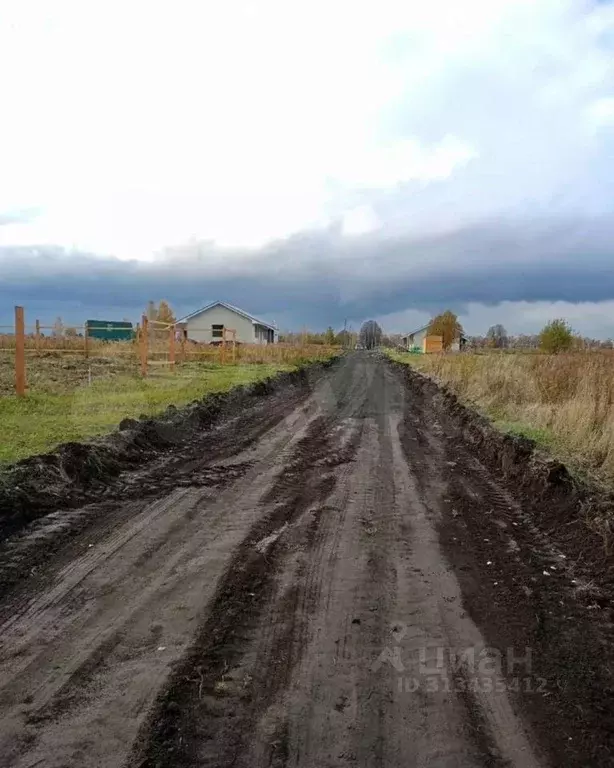 Участок в Рязанская область, Рязанский муниципальный округ, Льговское ... - Фото 1
