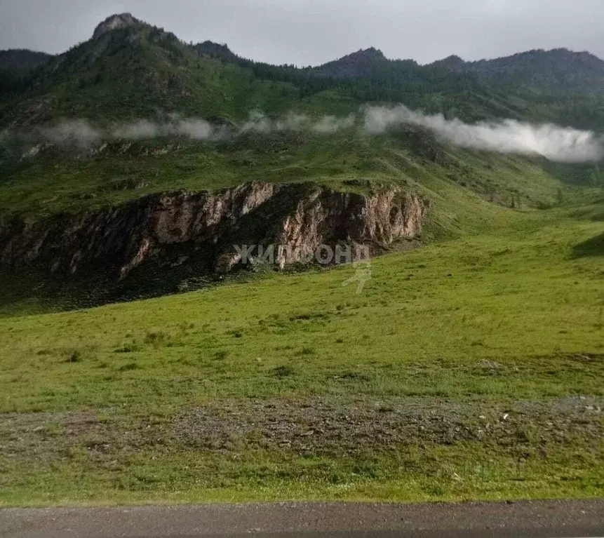 Участок в Алтай, Онгудайский район, с. Иня ул. Мира (1040.04 сот.) - Фото 0