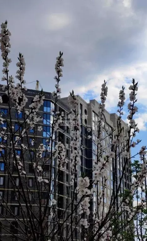 3-к кв. Липецкая область, Липецк ул. Е.И. Замятина, 1 (60.0 м) - Фото 1