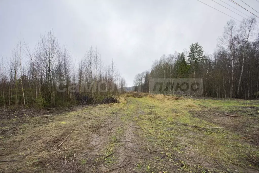 Участок в Московская область, Наро-Фоминский городской округ, Парус дп ... - Фото 2