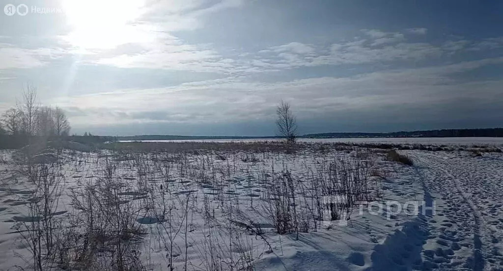 Участок в Сосновский район, Краснопольское сельское поселение, деревня ... - Фото 1