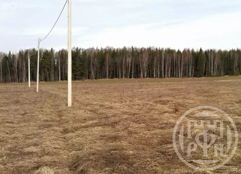 Участок в Сланцы, улица Баранова (12 м) - Фото 1