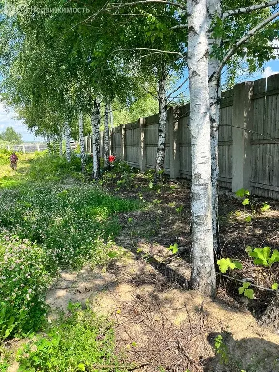 Участок в Рузский городской округ, деревня Курово (43 м) - Фото 0