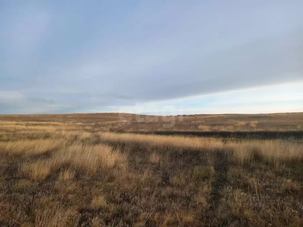 Участок в Крым, Ленинский район, Семисотское с/пос, с. Каменское ул. ... - Фото 1