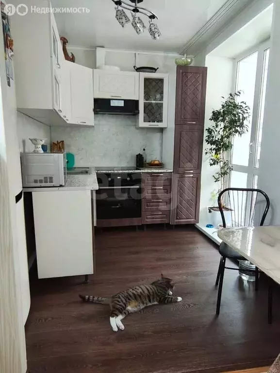 2-комнатная квартира: Благовещенск, Пионерская улица, 3/1 (44.8 м) - Фото 2