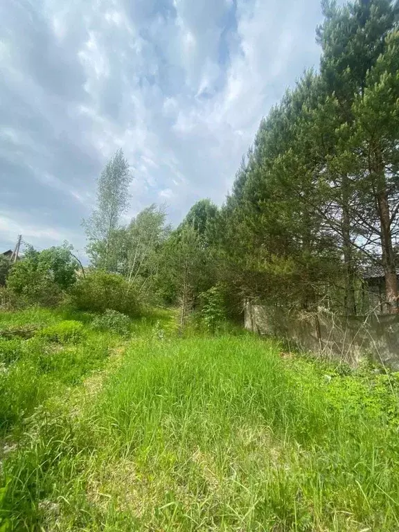 Участок в Московская область, Солнечногорск городской округ, Тебеньки ... - Фото 1