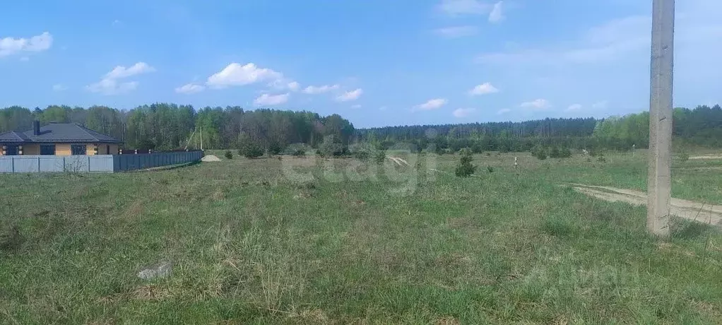 Участок в Брянская область, Брянский район, Новодарковичское с/пос, д. ... - Фото 1