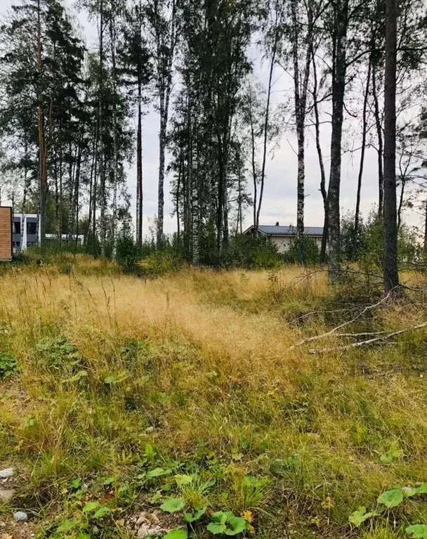 Участок в Ленинградская область, Выборгский район, Полянское с/пос, ... - Фото 2