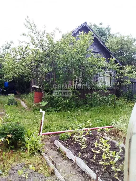 Дом в деревня Игнатово, СНТ Игнатовский (30 м) - Фото 1