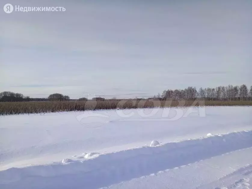 Участок в Тюменский район, коттеджный посёлок Кипрея Комьюнити (8.9 м) - Фото 1