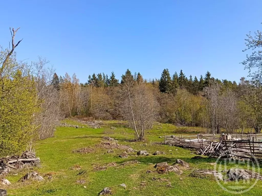 Участок в Ленинградская область, Приозерский район, Ларионовское ... - Фото 1