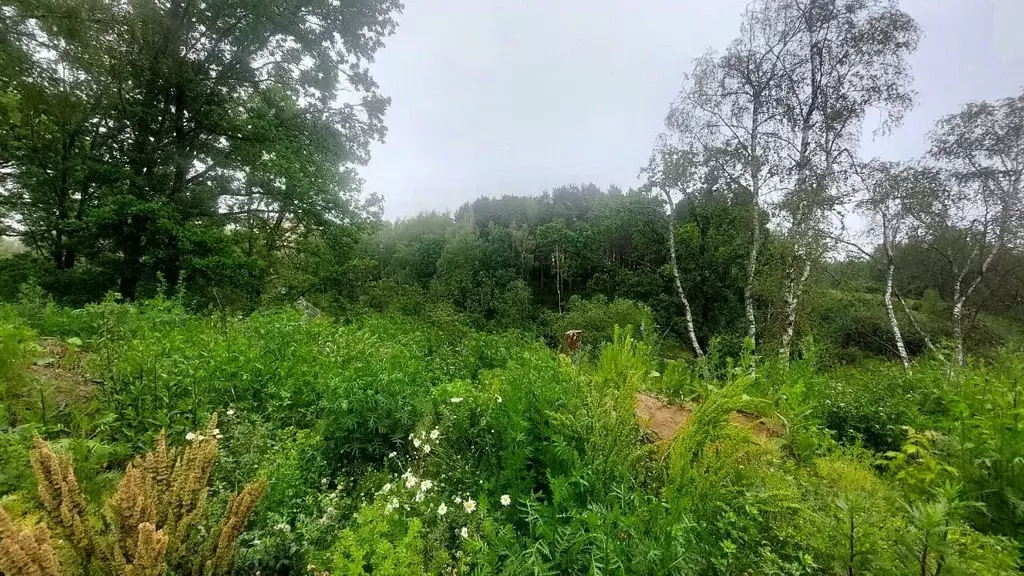 Участок в Владимирская область, Александров пер. Искателей, 12 (5.2 ... - Фото 2