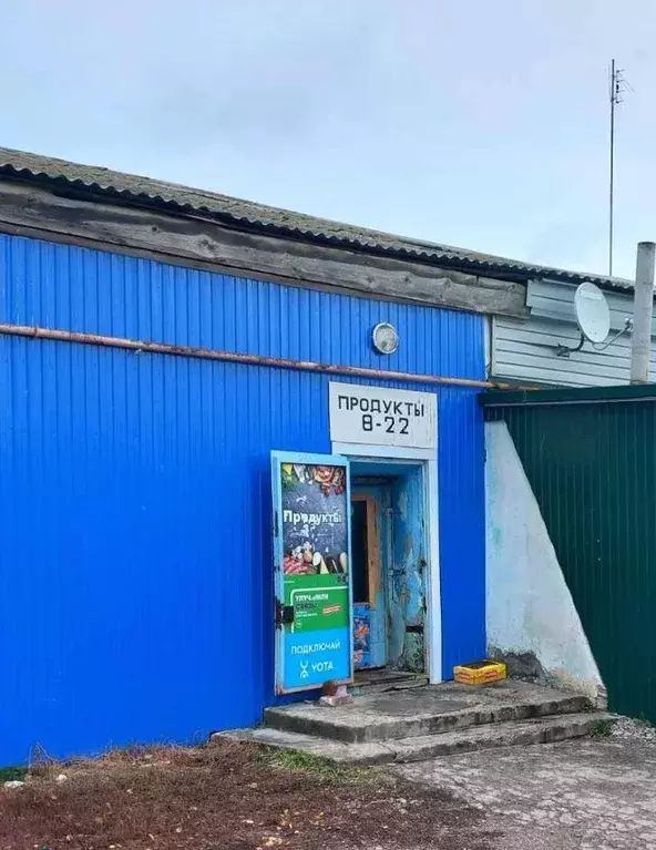 Помещение свободного назначения в Самарская область, Шигонский район, ... - Фото 1