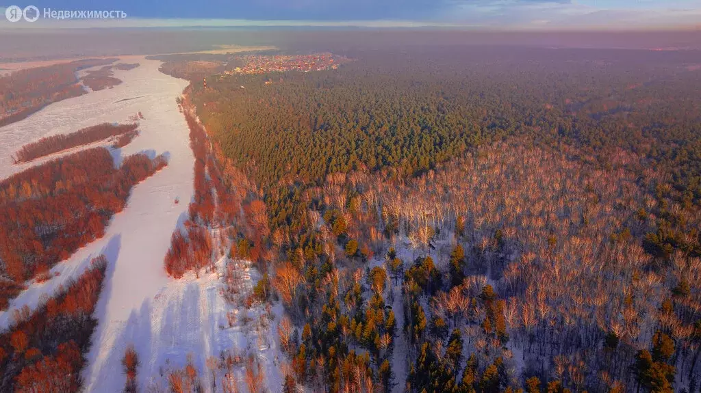 Участок в Новосибирск, Заельцовский район (700.31 м) - Фото 1