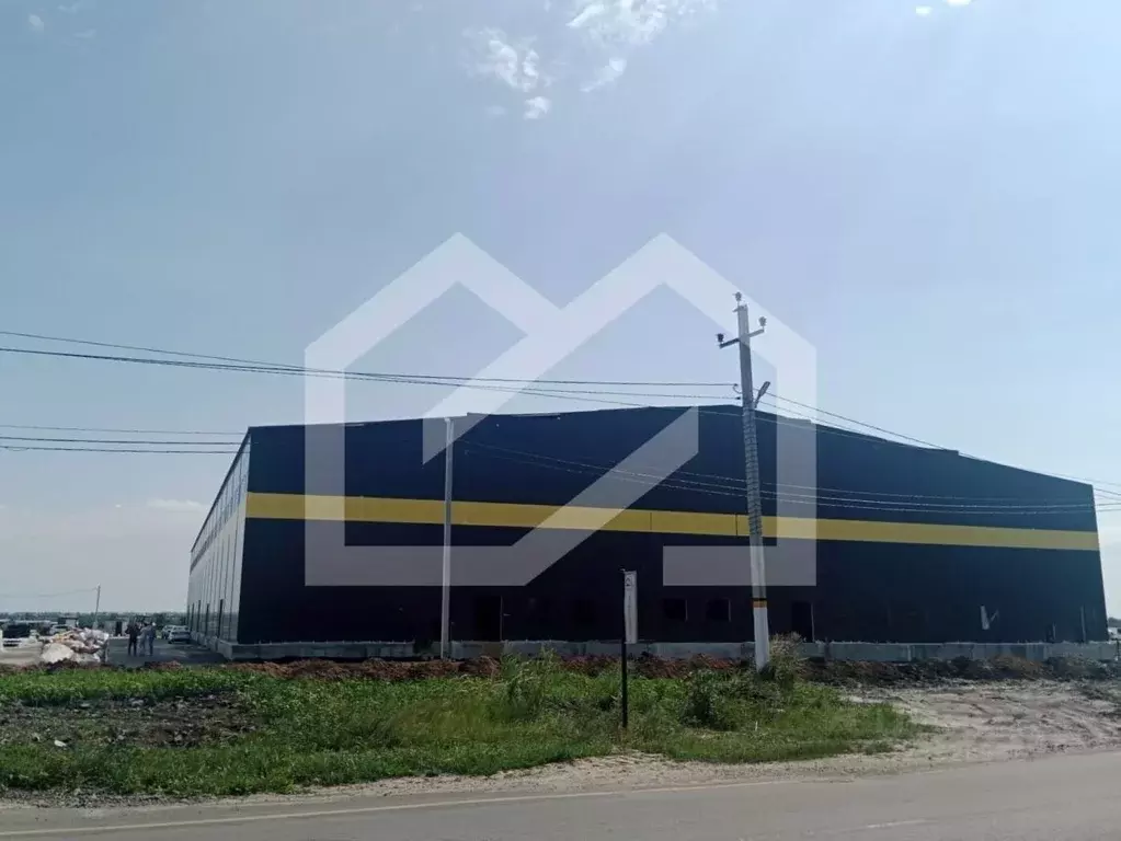 Производственное помещение в Воронежская область, Новоусманский район, ... - Фото 1