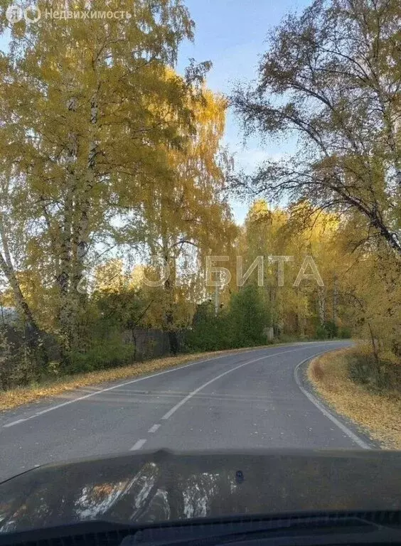 Дом в Тюмень, садовое товарищество Яблонька, Береговая улица, 223 (40 ... - Фото 2