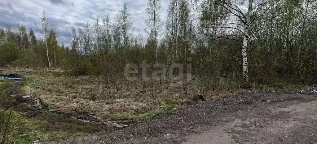 Участок в Ярославская область, Ярославль пер. 3-й Льняной (6.9 сот.) - Фото 1