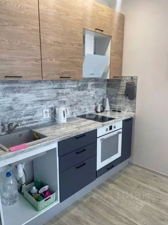 Студия Тюменская область, Тюменский муниципальный округ, д. Патрушева ... - Фото 1