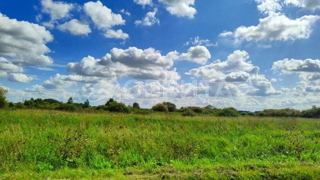 Участок в Тюменская область, Тюменский район, с. Ембаево  (395.0 сот.) - Фото 1
