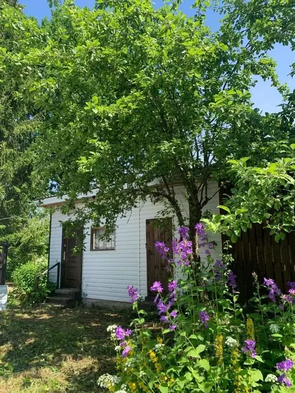 Дом в Псковская область, Новоржевский муниципальный округ, д. Задолжье ... - Фото 2