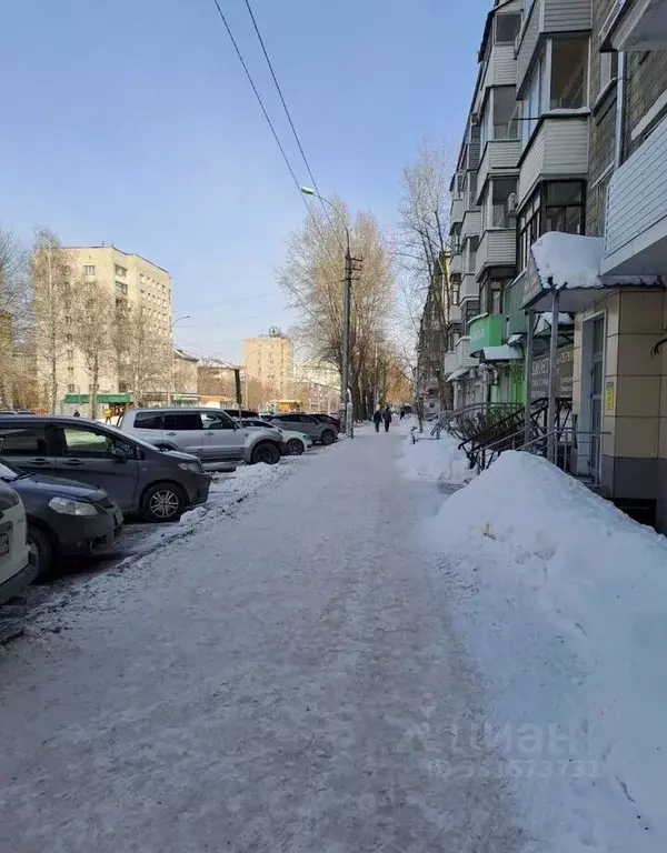 Помещение свободного назначения в Новосибирская область, Новосибирск ... - Фото 2