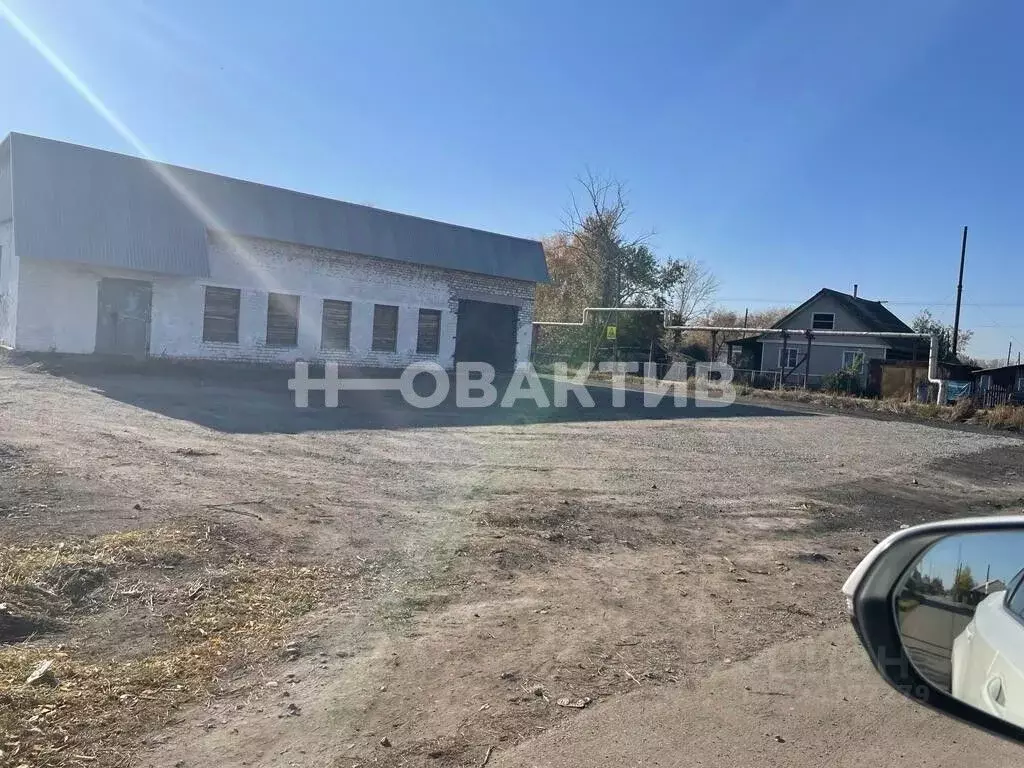 Торговая площадь в Алтайский край, Поспелихинский район, ... - Фото 1