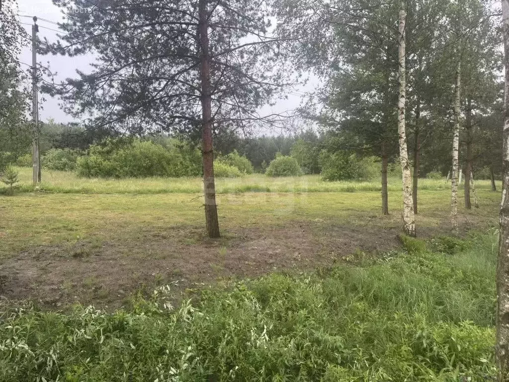 Участок в Захарово, Центральная улица (7.5 м) - Фото 1