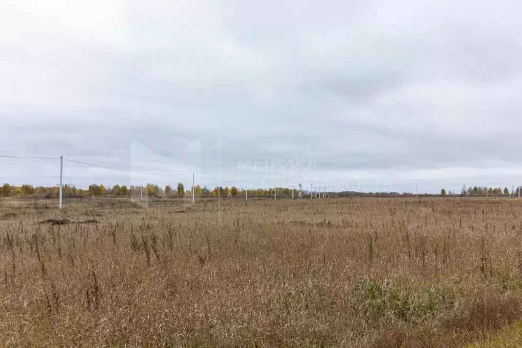 Участок в Тюменская область, Тюмень  (10.69 сот.) - Фото 1