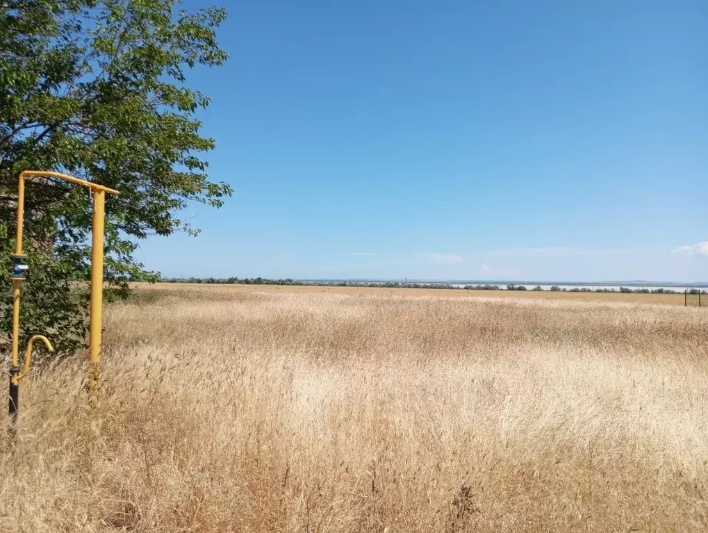 Участок в Крым, Ленинский район, Мысовское с/пос, с. Семеновка  (10.0 ... - Фото 1