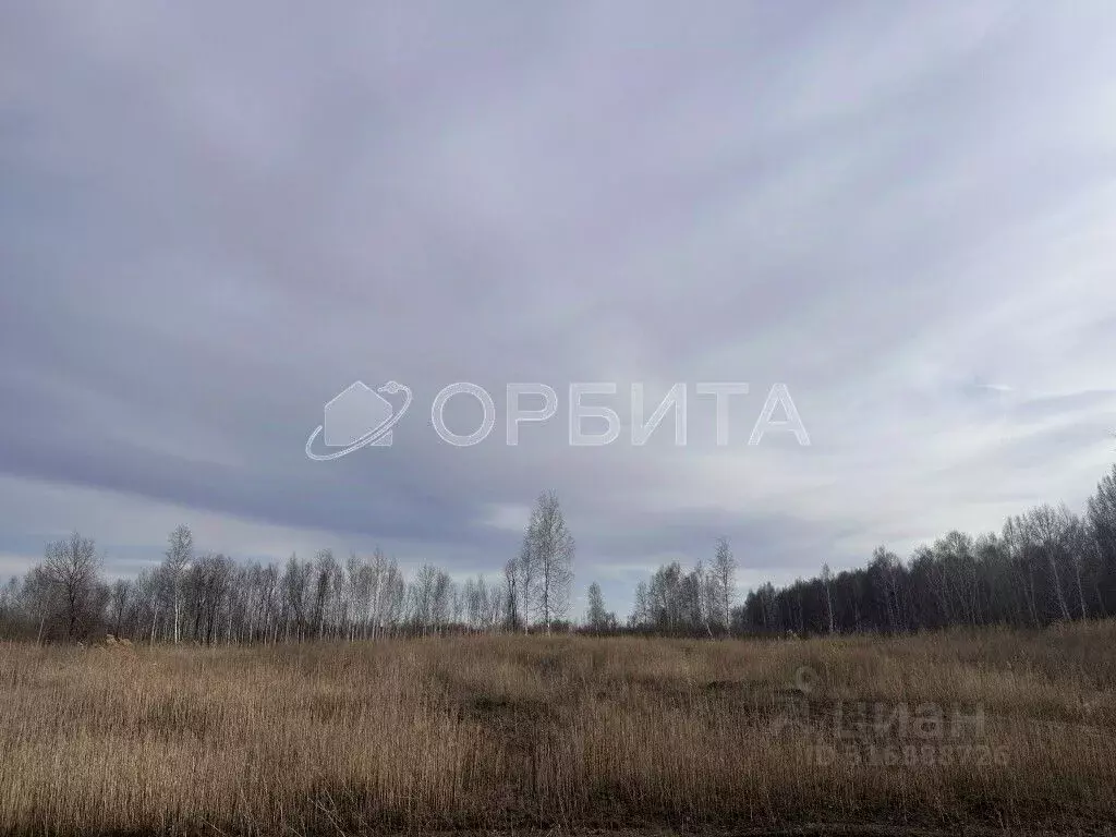 Участок в Тюменская область, Тюменский район, Приозерное СПК ул. ... - Фото 0