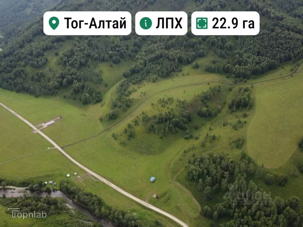 Участок в Алтай, Усть-Канский район, с. Черный Ануй  (22.9 сот.) - Фото 1