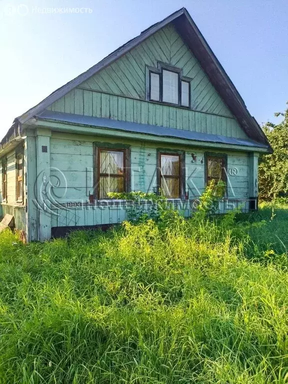 Дом в Дзержинское сельское поселение, деревня Бор, Центральная улица ... - Фото 1
