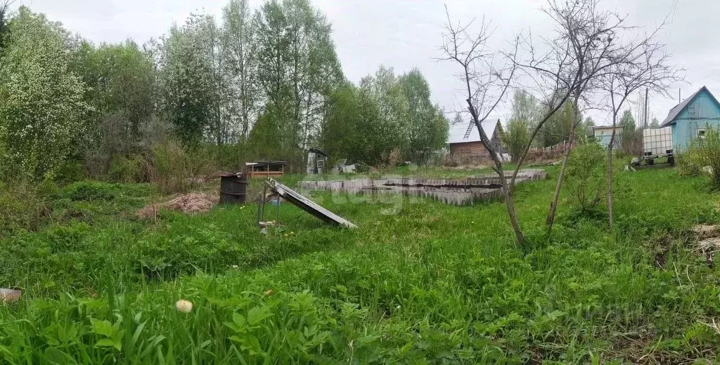 Участок в Архангельская область, Котласский муниципальный округ, ... - Фото 0