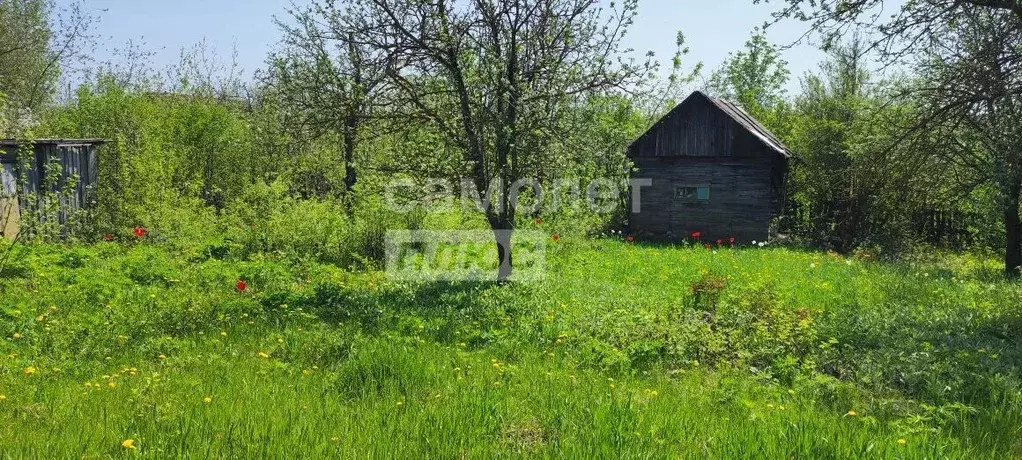Участок в Пензенская область, Пенза пл. Ленина (8.5 сот.) - Фото 2